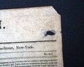 James Madison signature... - Image 9