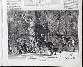 Turco-Russian War... - Image 4