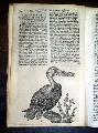 Article On Electricity... - Image 6