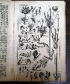 Article On Electricity... - Image 8