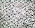 Adams and Hancock signature...  Eve of the Revolutionary War... - Image 8