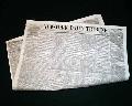 Apache Troubles...Mormon Constitution...   - Image 2