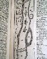 Oswego during the French and Indian War... - Image 13